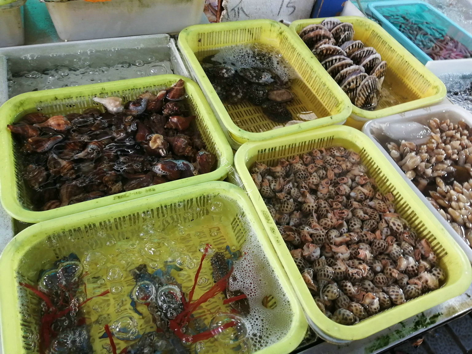 平靚正海鮮大量上市,專家解答:哪些水產(chǎn)品不宜吃?_黃沙