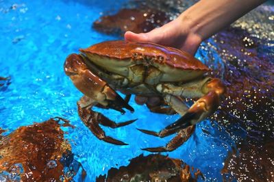 入冬了!2018年最后幾天,冷空氣即將虐哭南寧人!但有一個地方卻&hellip;