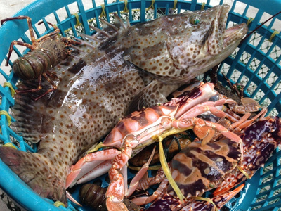 探海鮮萬山 | 海鮮美食節探鮮團招募，免費吃喝玩樂等你來！