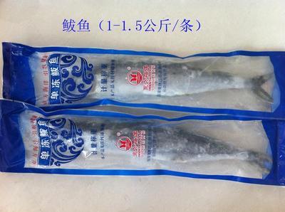 青島海鮮盛宴，禮遇四方 城陽海產品禮盒批發采購全指南